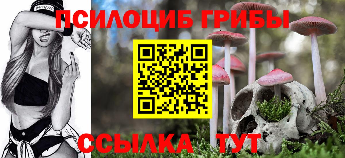 Галлюциногенные грибы Psilocybine cubensis Лобня