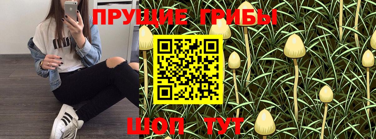 Галлюциногенные грибы Cubensis  Вход с VPN  Лобня 